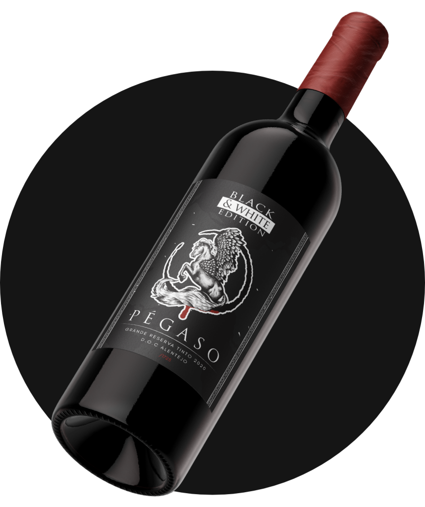 Icon Pégaso Balck & White Editio 2023