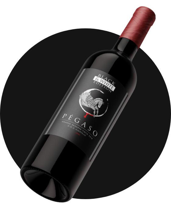 icon Pégaso Brack & White Edition 2020