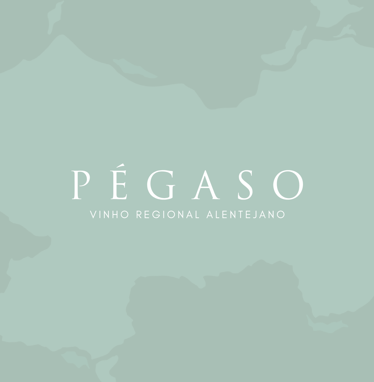 Pégaso Branco 2022 4