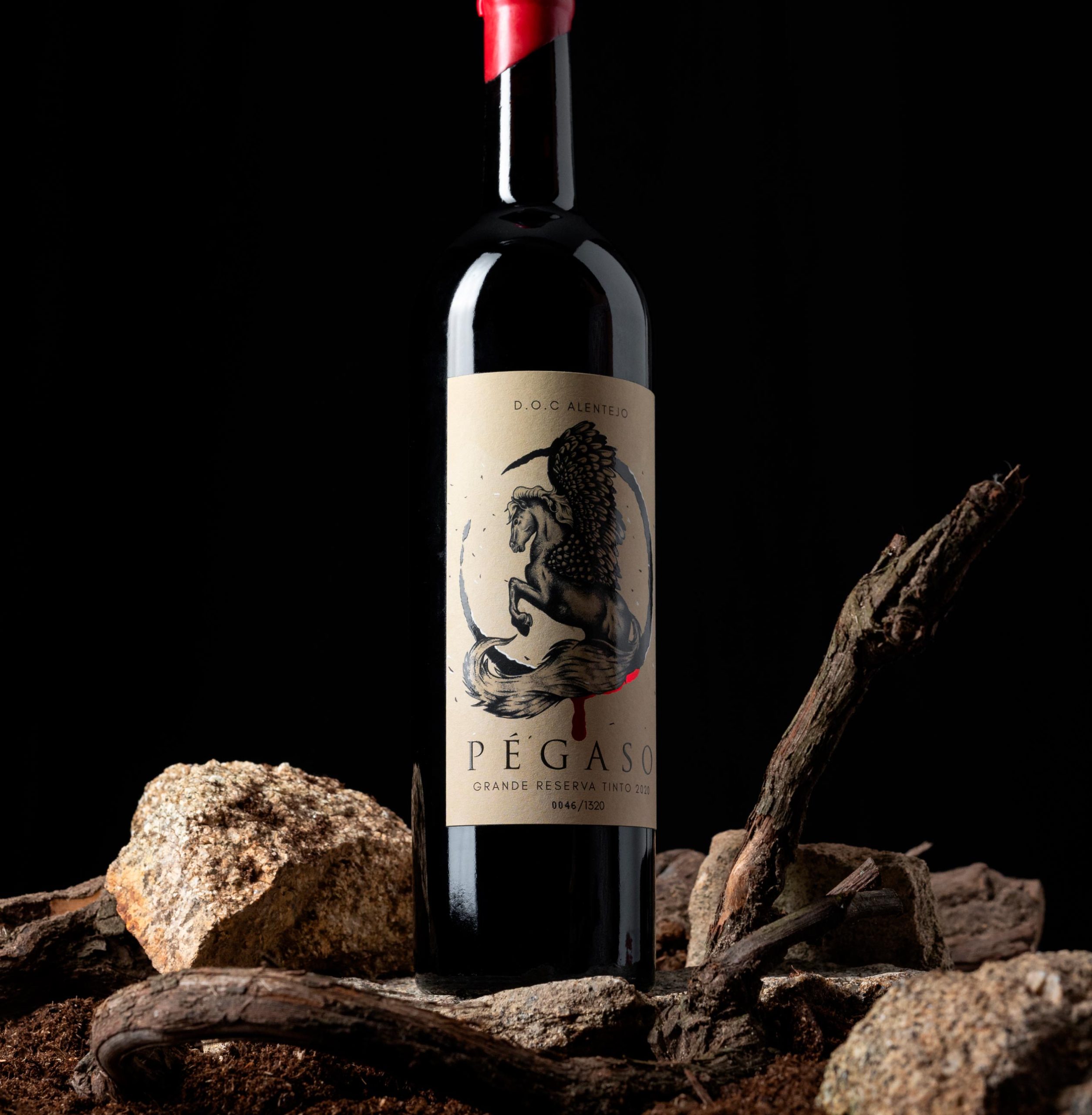 pegaso_tinto_22_4
