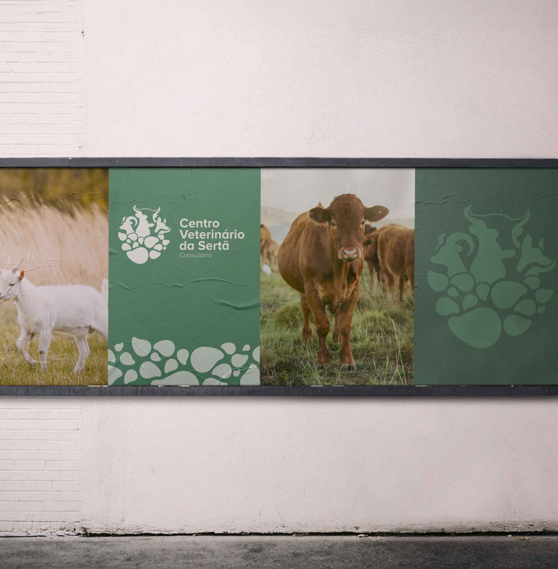 Centro_veterinario_certa5